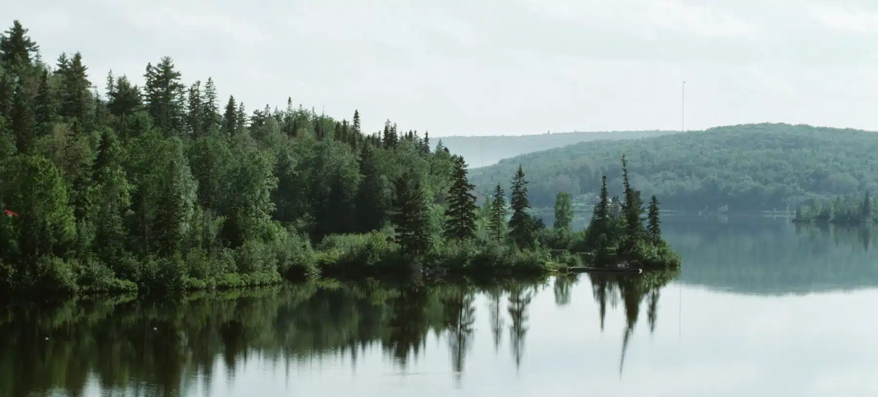 Quebec Forest Forest by lake, Abitibi Temiscamingue, Quebec, Canada