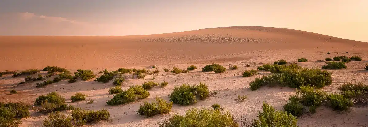 Sunrise in Dammam Saudi Arabia desert Sunrise in Dammam Saudi Arabia desert