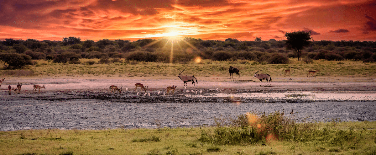 IAIA Innovation Grants Botswana EIA IAIA Innovation Grants Botswana EIA